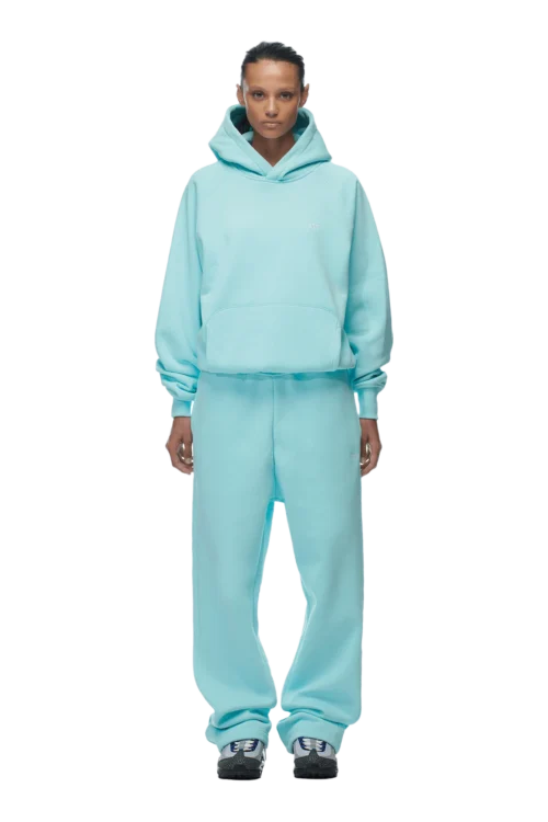 HOODIE TURQUOISE(Hoodie Turquoise) -Simple Daily Wear Store 2673x4009px 0110 6PM ECOM Look 51 0852 min