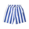 STRIPED SWIM SHORTS WHITE/NAVY(Striped Swim Shorts White Navy)